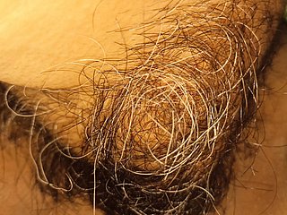 my wife's hairy pussy coupled with clitoris