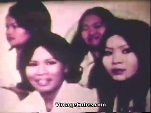 الديك ضخمة الداعر الهرة الآسيوية في بانكوك (1960s خمر)